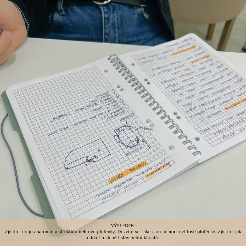 Modelování nehtů podle vzoru výuky